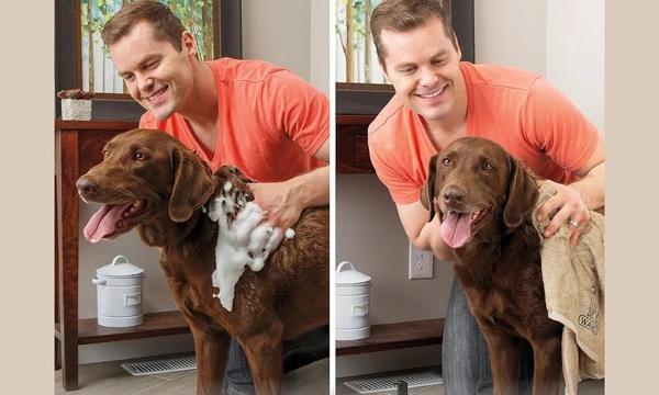 best dry shampoo for dogs