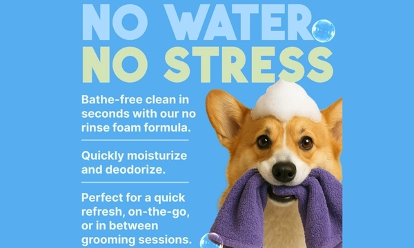 dry shampoo for dogs