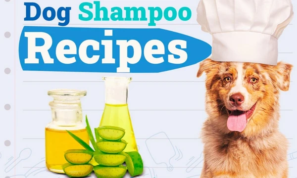 homemade dog shampoo recipe