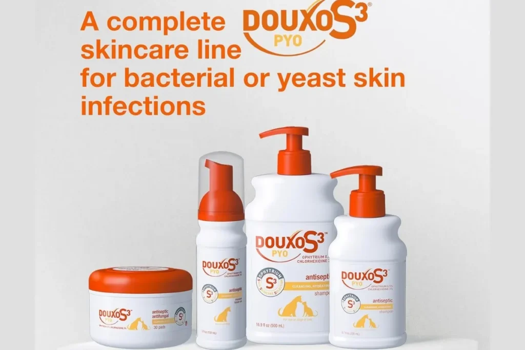 Best Antibacterial and Antifungal Dog Shampoo