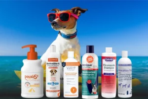 Best Antibacterial and Antifungal Dog Shampoo