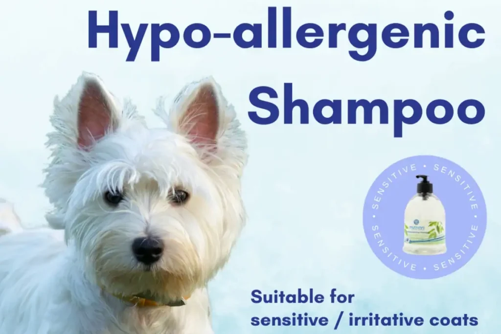 Best Hypoallergenic Dog Shampoo