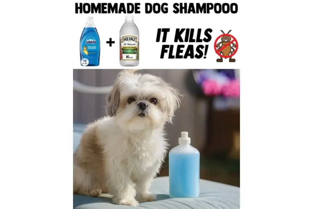 Homemade puppy shampoo recipe