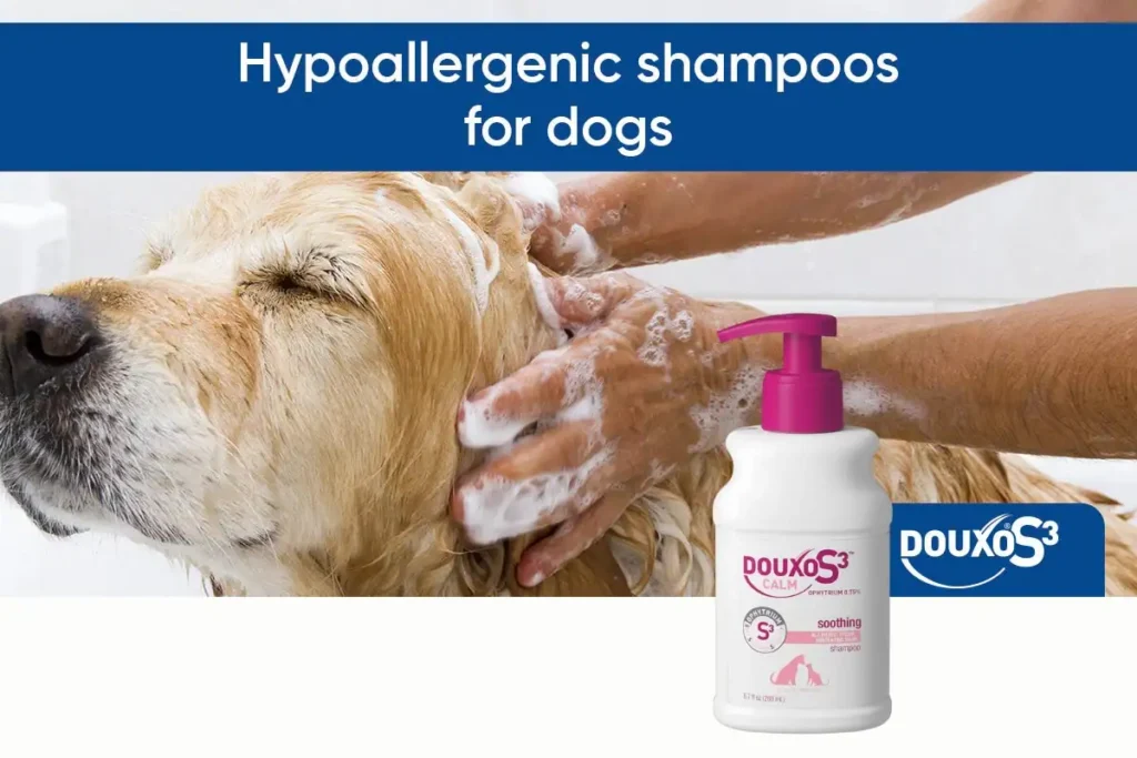 Douxo S3 Care Shampoo