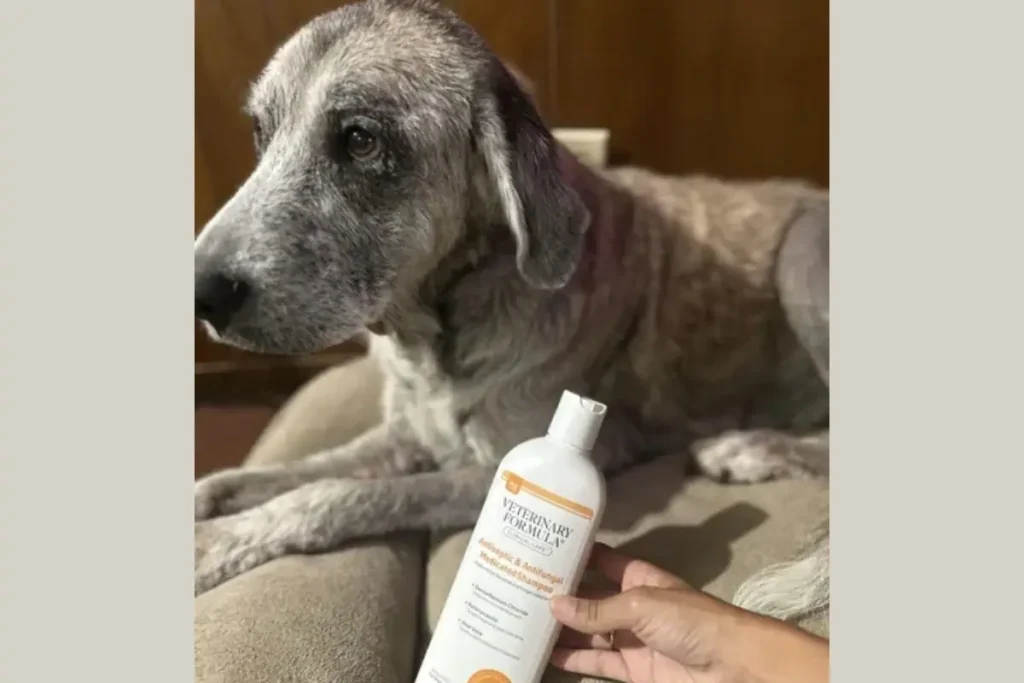 Veterinary Formula Clinical Care shampoo