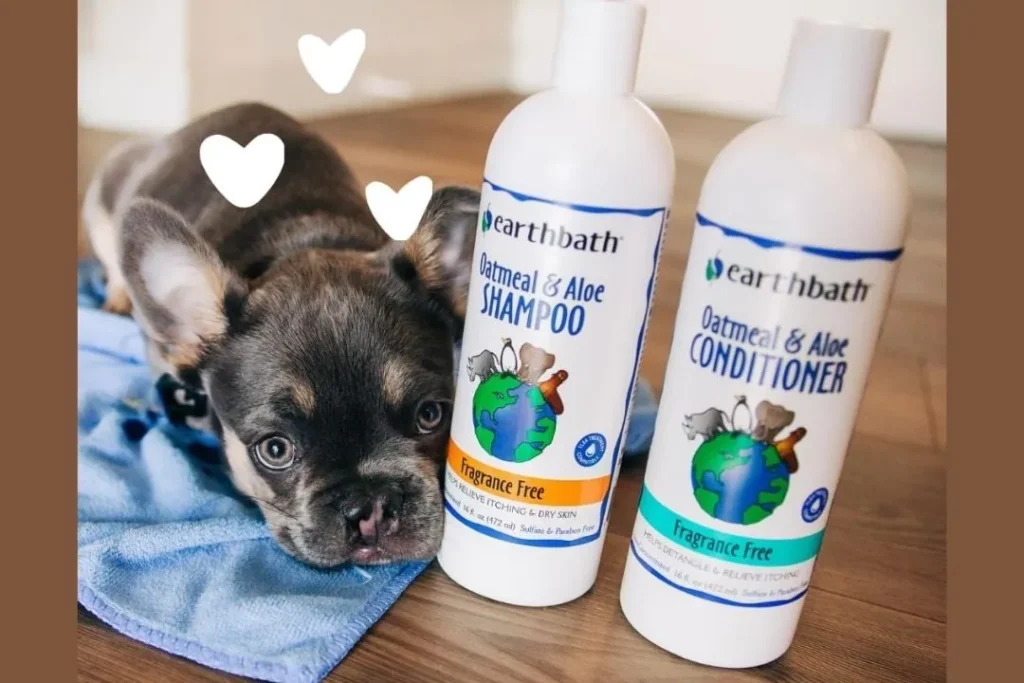 Best Oatmeal Shampoo for Dogs