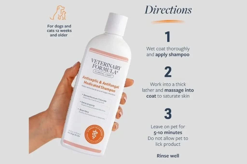 Best Oatmeal Shampoo for Dogs