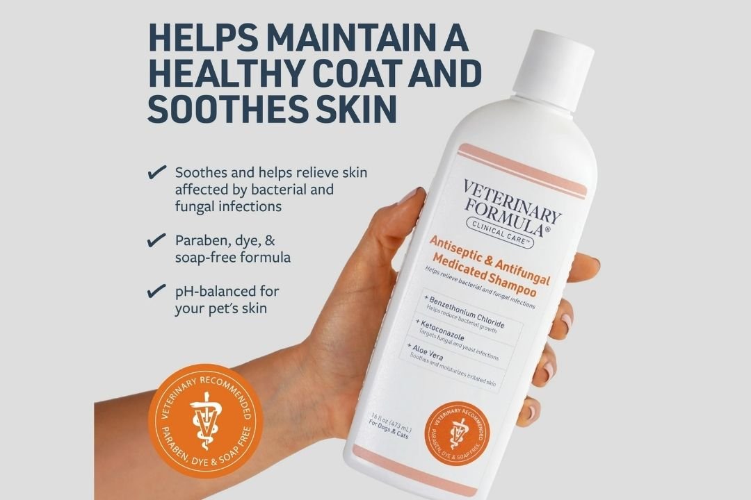Veterinary Formula Clinical Care Antiseptic & Antifungal Shampoo