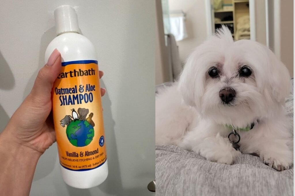 Earthbath Oatmeal & Aloe Shampoo