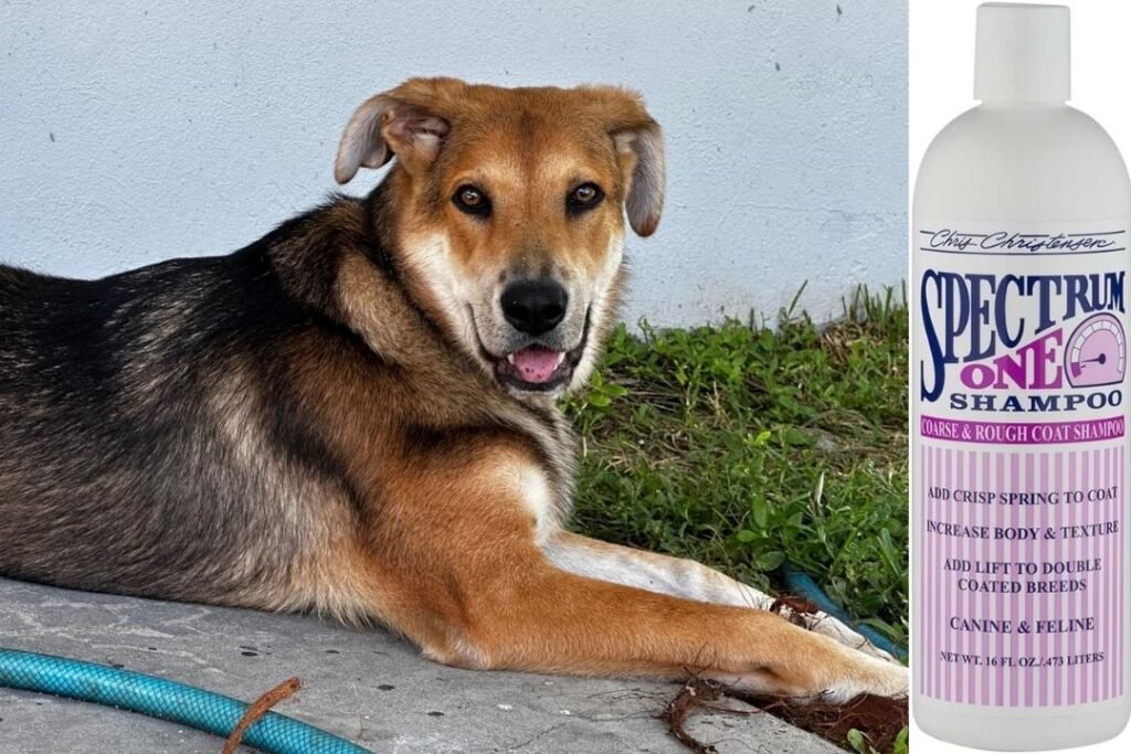 Chris Christensen Spectrum One Shampoo