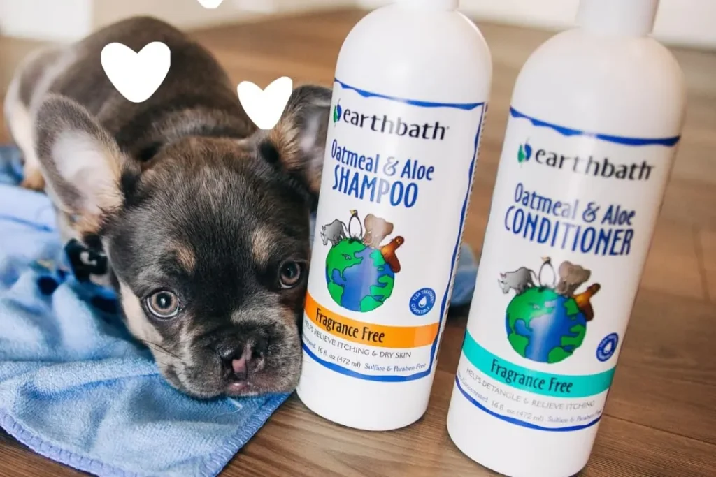 Earthbath Oatmeal & Aloe System