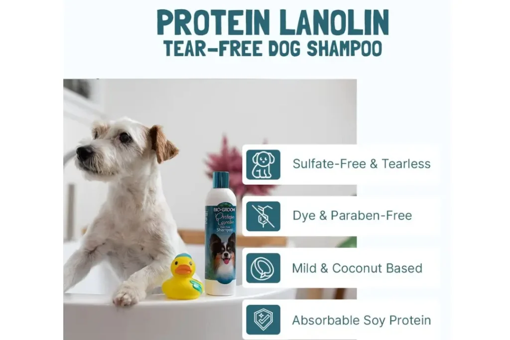 Bio-Groom Protein-Lanolin Shampoo + Bio-Groom Silk