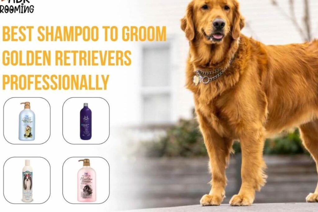 Best Dog Shampoo-for Golden Retrievers