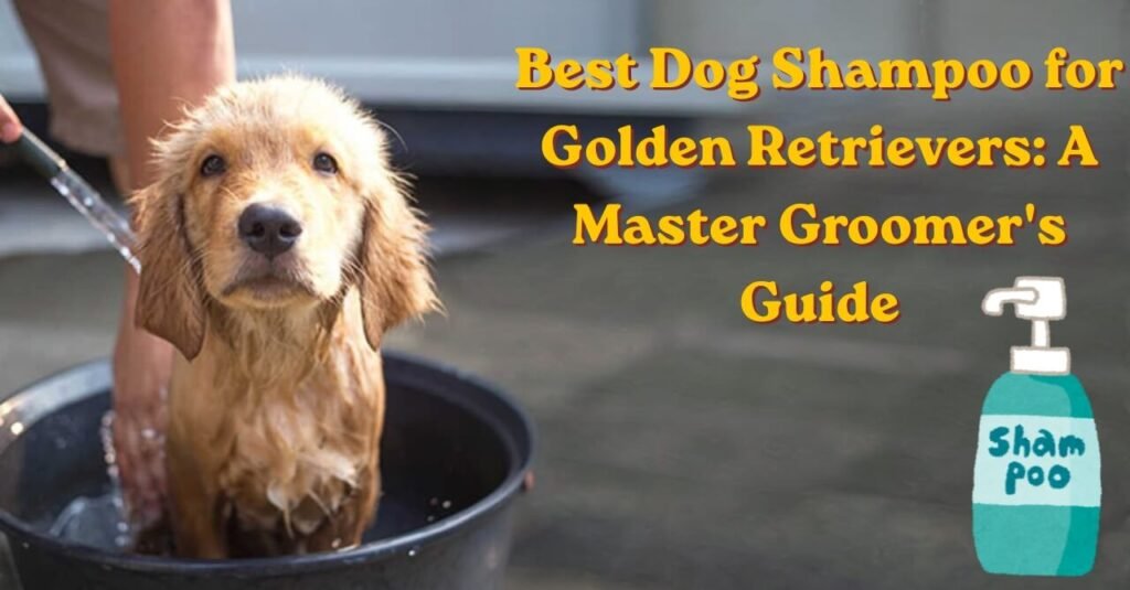 Best Dog Shampoo for Golden Retrievers