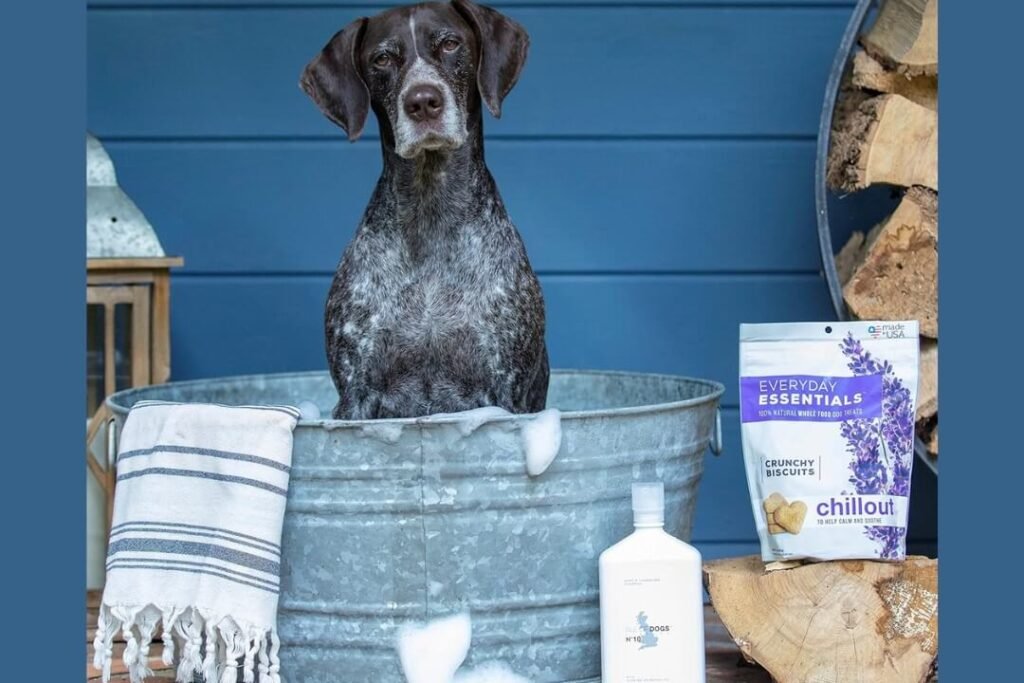 Isle of Dogs Coature No. 10