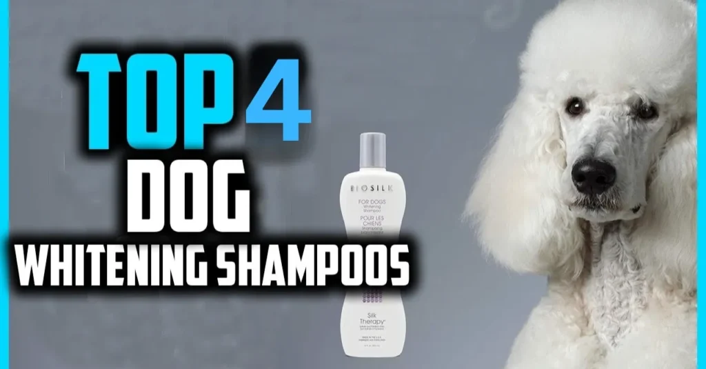 Whitening Shampoo for Dogs