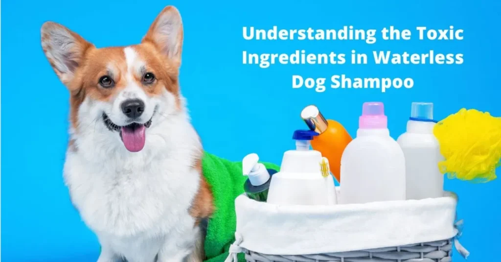 Best Waterless Dog Shampoo