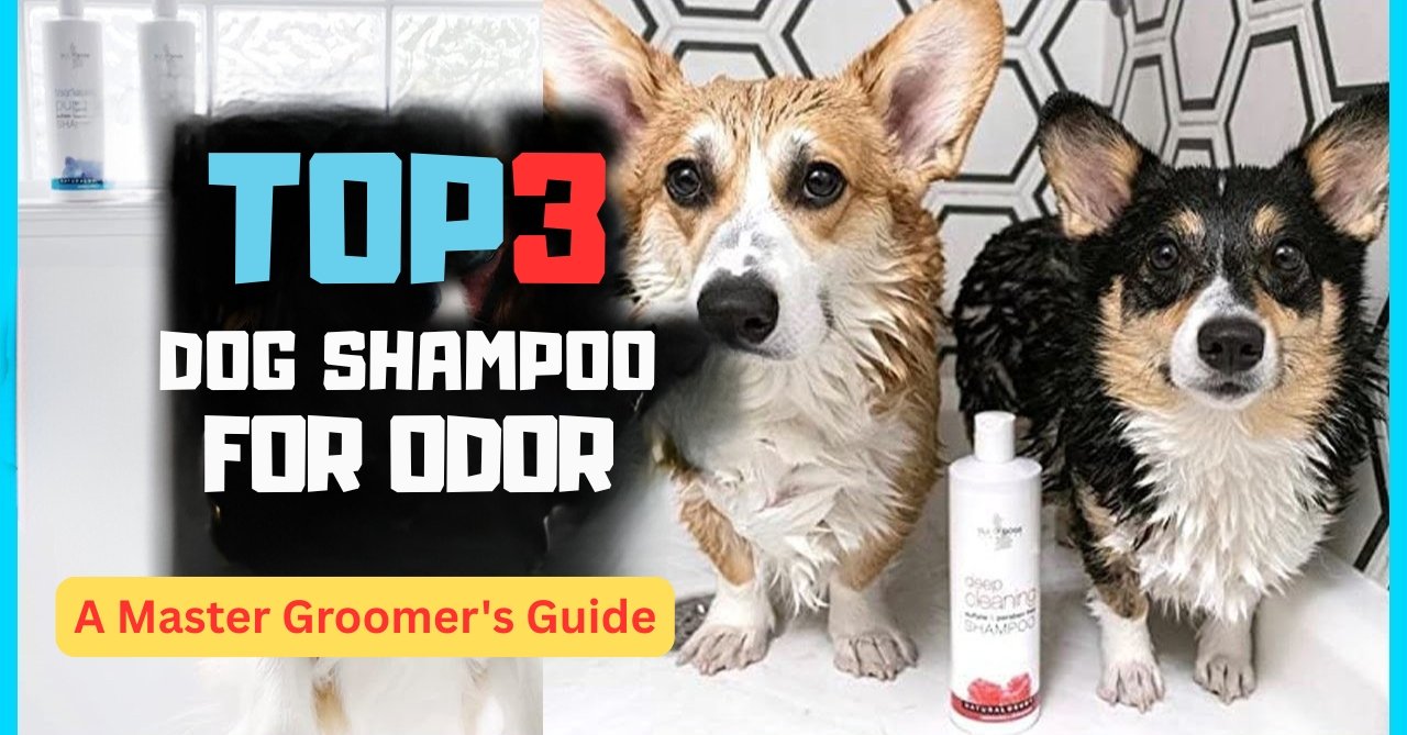 Best Dog Shampoo for Odor