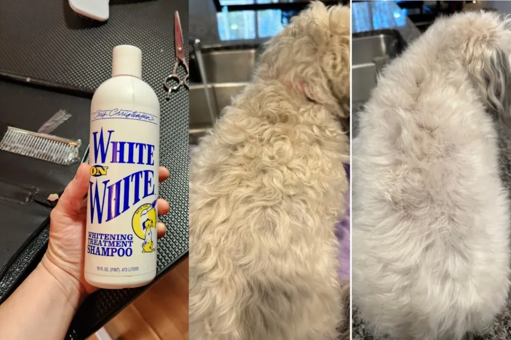 Chris Christensen White on White