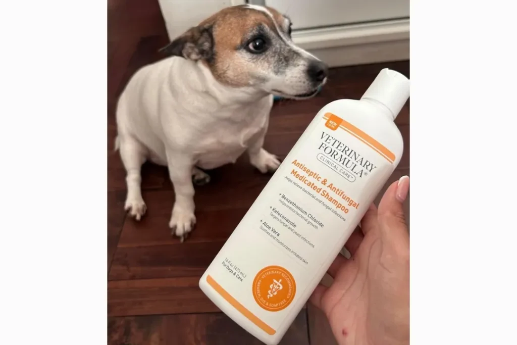 Antifungal & Antiseptic Medicated Shampoo