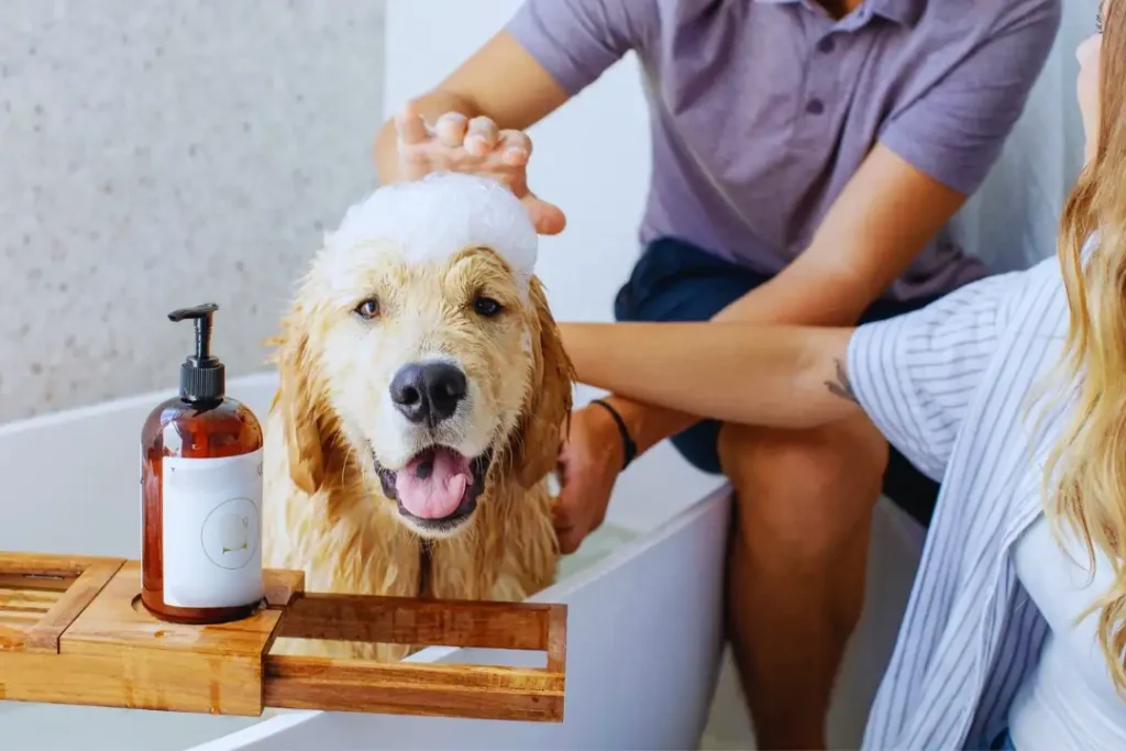 Dog Shampoo and Conditioner for Dry Skin